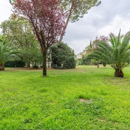 Cosy T3 - Jardin - Parking - Piscine Apartman Montpellier Kültér fotó